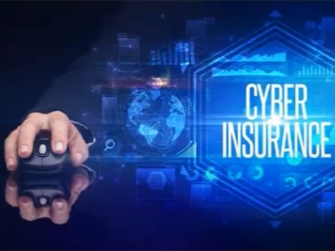 Cyber Insurance and Cybercrime. Are you at risk?